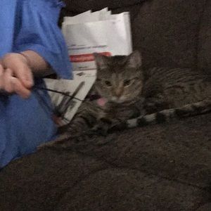 Meet your Posher, Jennifer